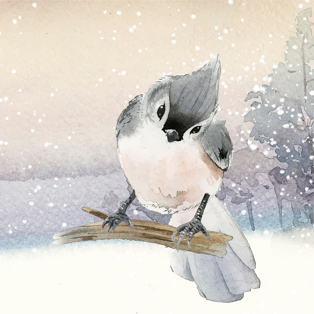 Tufted Titmouse Bird In Wintertime Free Vector Illustration Rawpixel