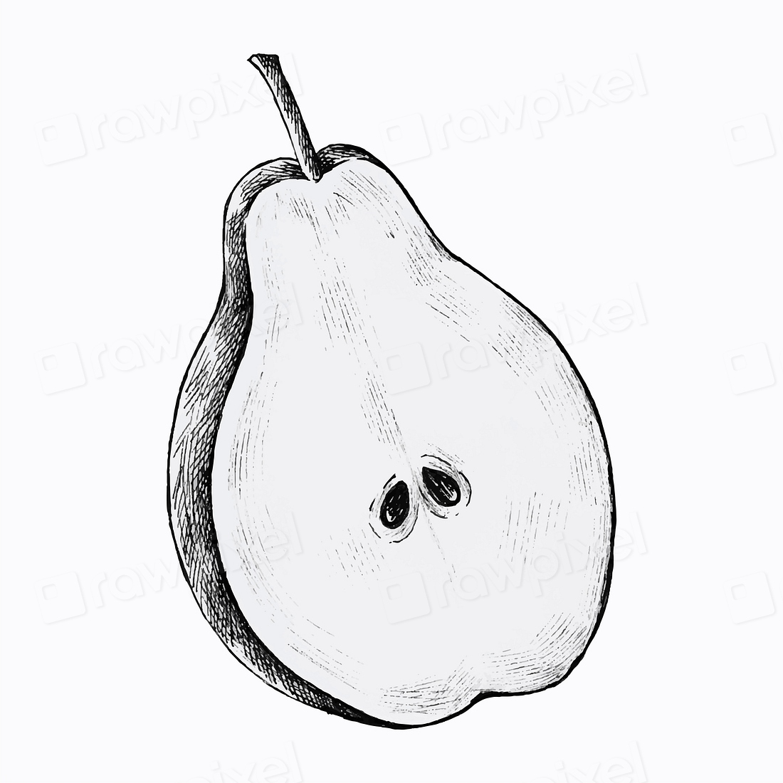 Hand Drawn Half Cut Pear Premium Vector Illustration Rawpixel