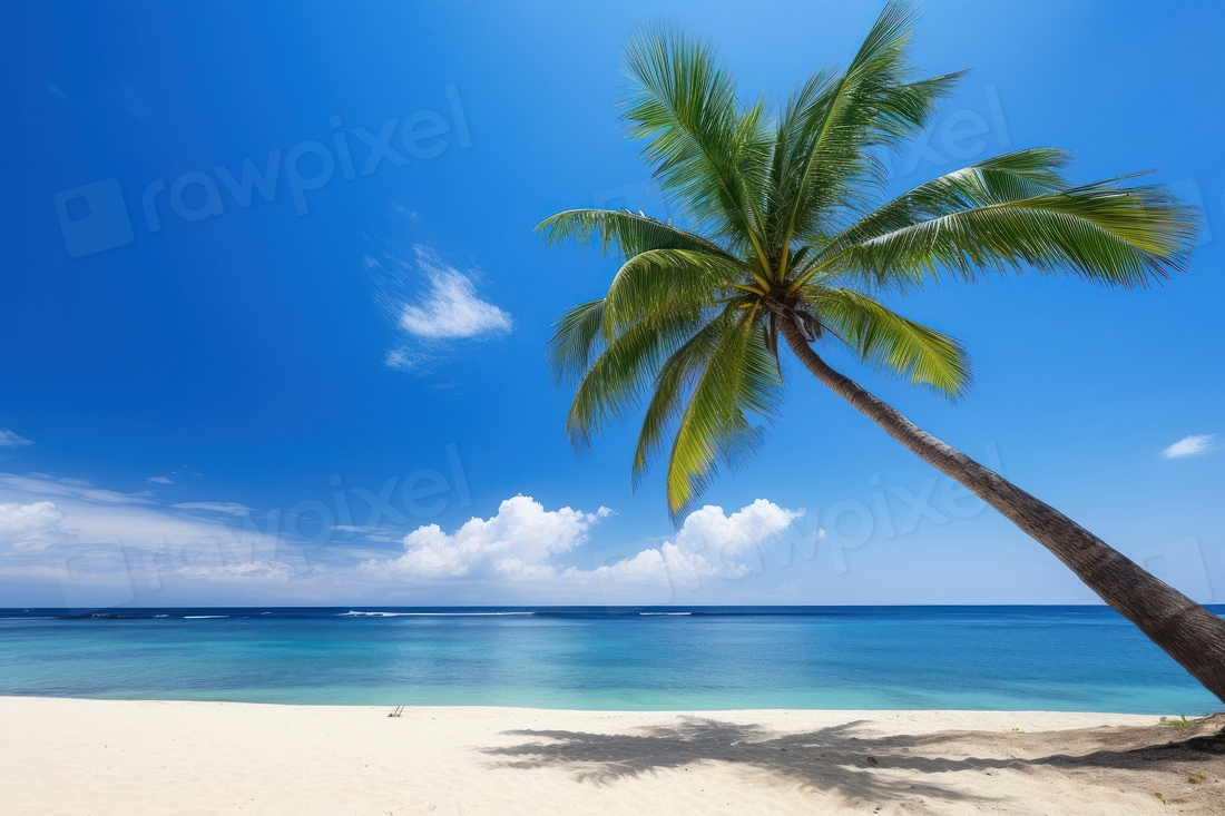 Beach Tree Sky Outdoors Premium Photo Rawpixel