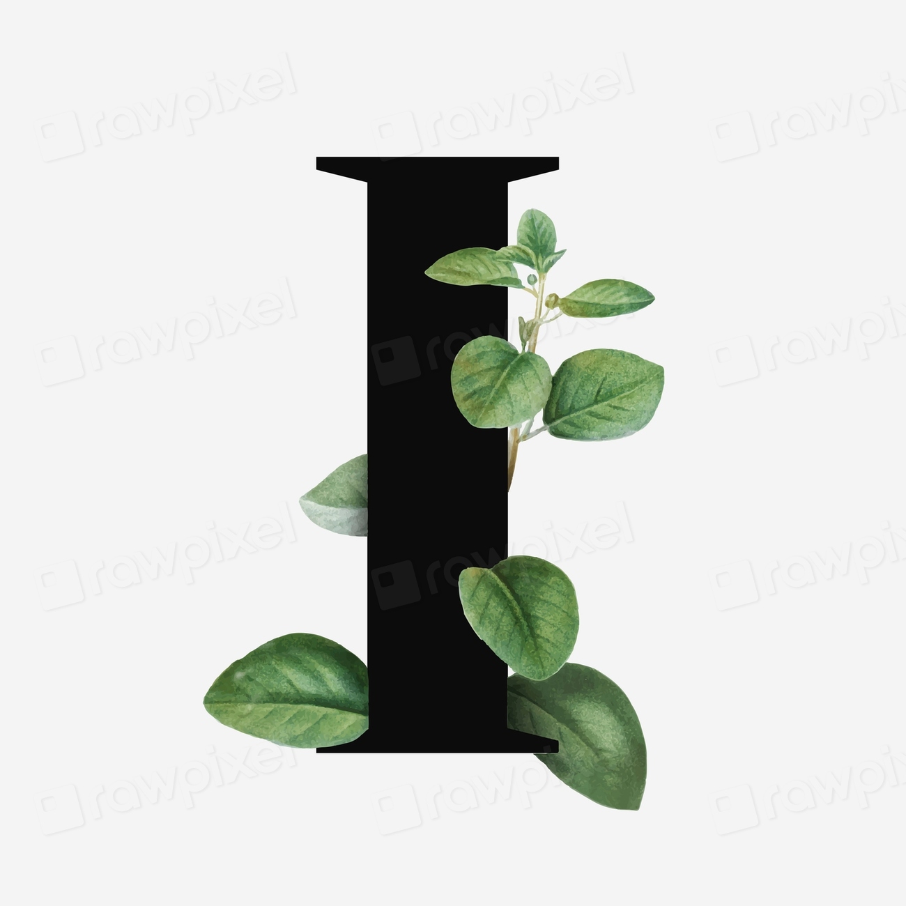 Botanical Capital Letter I Vector Premium Vector Rawpixel