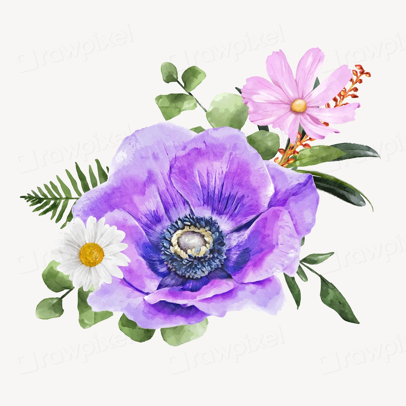 Watercolor Purple Anemone Flower Spring Premium Vector Rawpixel