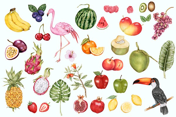 Illustration Tropical Fruits Watercolor Style Premium Vector Rawpixel