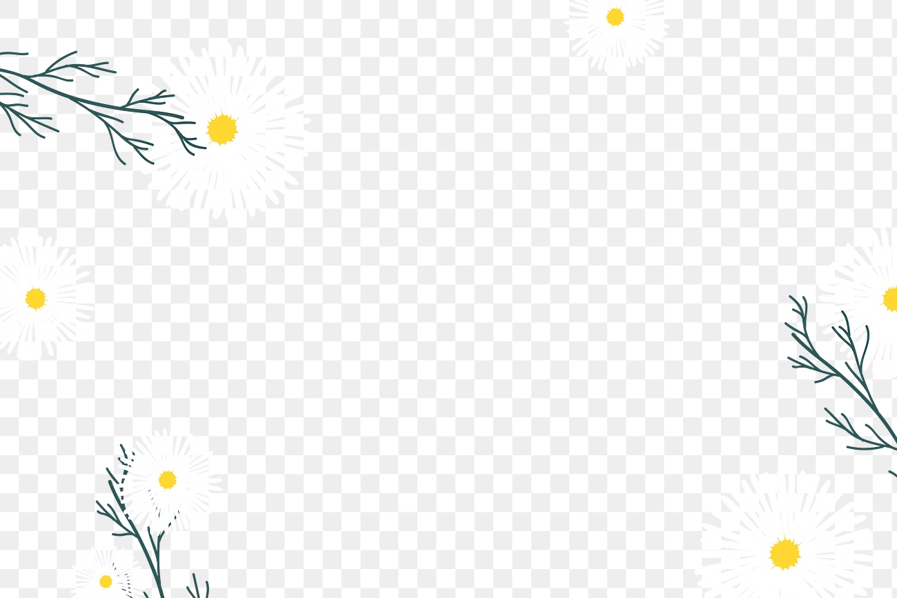 Aesthetic Daisy Png Transparent Background Premium PNG Rawpixel