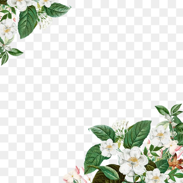 White Vintage Flowers Png Border Premium Png Rawpixel