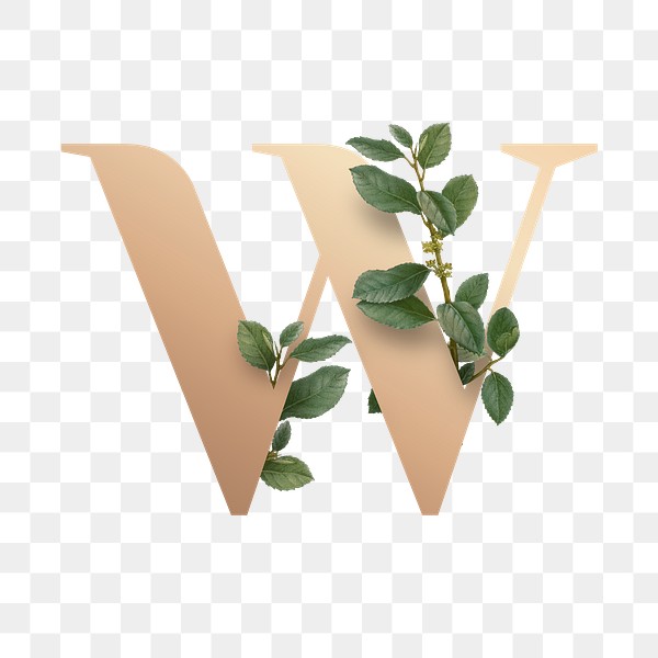 Botanical Capital Letter W Transparent Free PNG Sticker Rawpixel