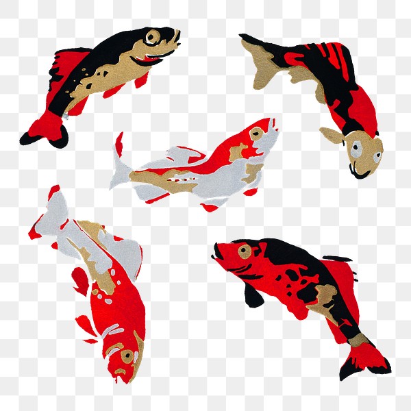 Carp Fish Png Sticker Colorful Premium Png Rawpixel