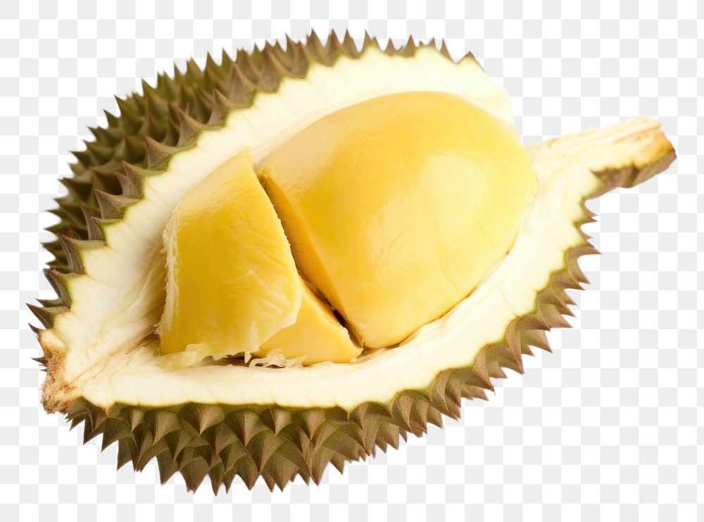 Png Durian Fruit Plant Food Premium Png Rawpixel