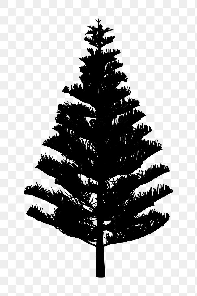 Png Pine Tree Silhouette Transparent Premium Png Rawpixel