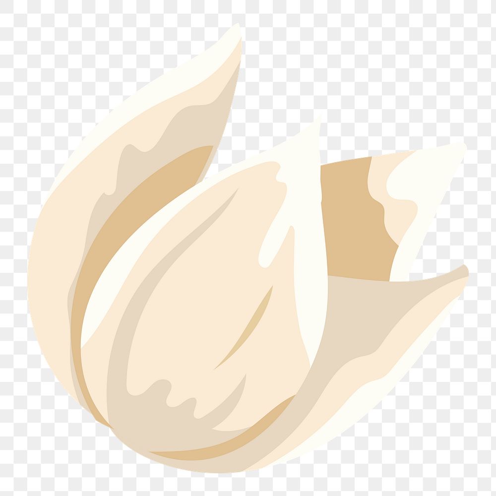 Cream Aesthetic Flower Png Transparent Premium PNG Rawpixel