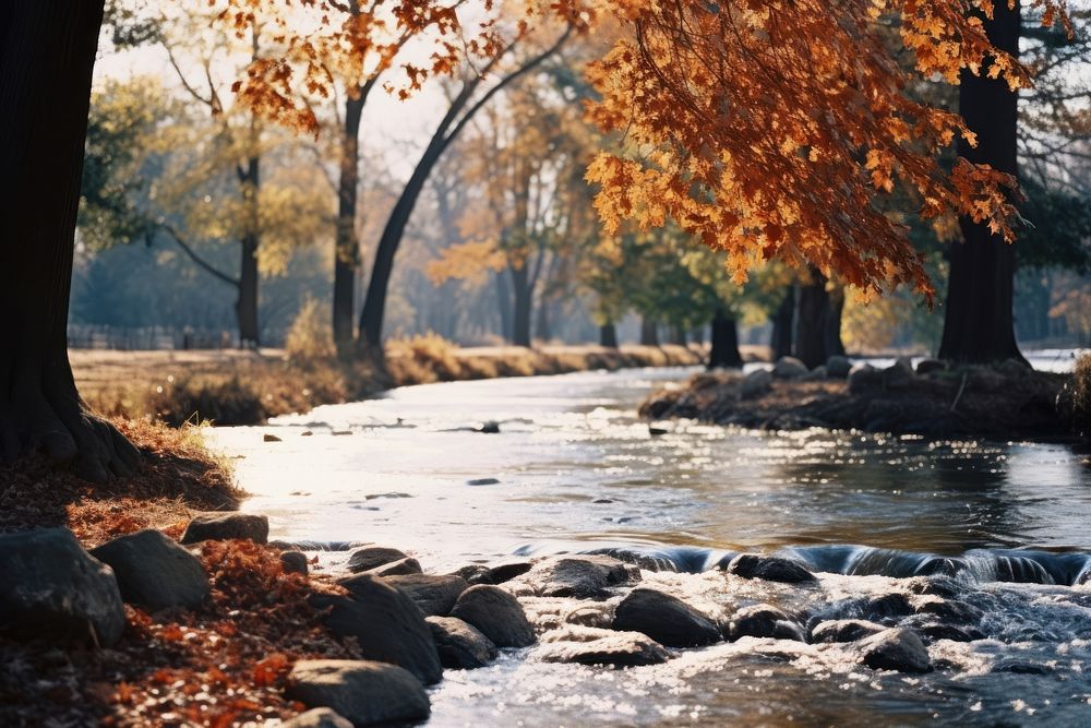 Autumn Outdoors Nature Plant Ai Free Photo Rawpixel