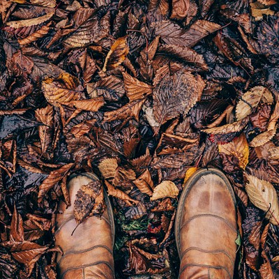 Fall 