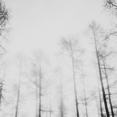 Background texture  