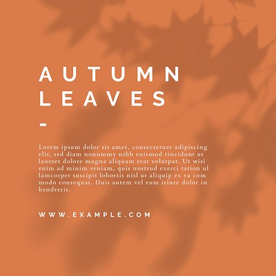 Fall Season 
