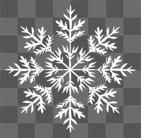 PNG Snowflake outdoors nature symbol.