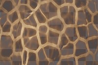 PNG Giraffe skin texture pattern, transparent background