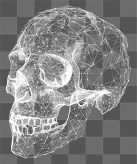 PNG Digital wireframe skull art