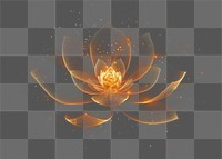 PNG Light orange lotus flower outdoors pattern nature.