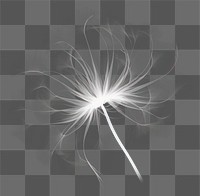 PNG Abstract smoke of dandelion flower white monochrome.