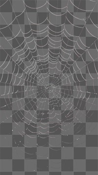 PNG Photography of spider web black backgrounds concentric.