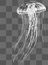 PNG A jellyfish made of strings and threads background black bioluminescent.