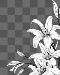 PNG Lily Flower border flower backgrounds pattern.