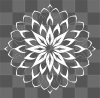 PNG  Mandalas pattern flower white. AI generated Image by rawpixel.