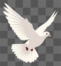 PNG Minimalist Illustration of flying dove animal bird seagull.