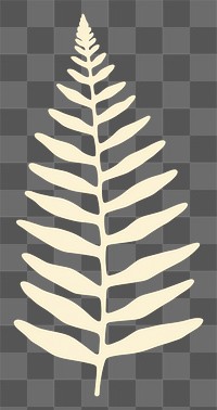 PNG  Illustration of a simple fern leaf plant astragalus pattern.