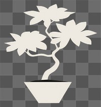 PNG  Illustration of japanese bonsai tree flower plant houseplant.
