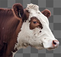 PNG Farm animal livestock mammal cattle. AI generated Image by rawpixel.