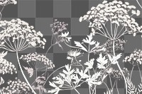 PNG Coriander flower wallpaper pattern plant.