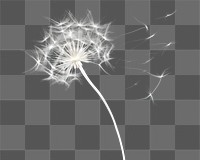 PNG Abstract smoke of dandelion flower plant white.