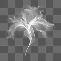 PNG Abstract smoke of lily pattern flower white.