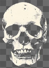 PNG An isolated black and white skull illustration photography monochrome.