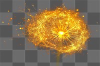 PNG Firework yellow photography background dandelion.