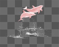 Jumping dolphins png sticker, sea animal on transparent background