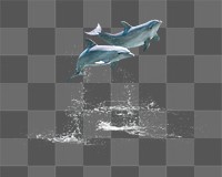 Jumping dolphins png sticker, sea animal on transparent background