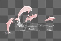 Pink dolphins png sticker, sea animal on transparent background