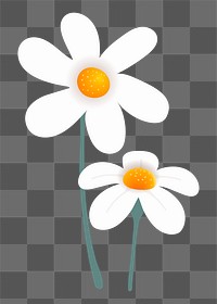 White flower png sticker, cute illustration, transparent background