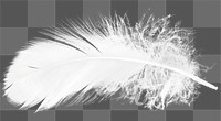 Bird feather png sticker,  transparent background