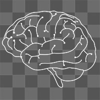 Digital brain png sticker, neuroscience, transparent background