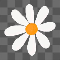 Daisy flower png doodle sticker, transparent background