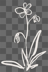 Flower png sticker, line art design on transparent background