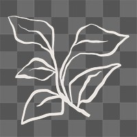 Leaf png sticker, botanical line art transparent background 