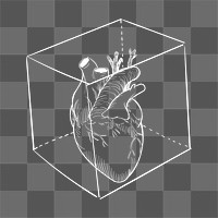 Heart png in a box, transparent background