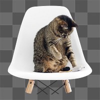 Tabby cat png sticker, playing with toy mouse, transparent background