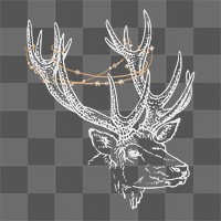 Reindeer stag png sticker, wildlife illustration, transparent background