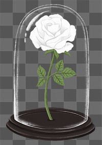 Valentine's gift png white rose in glass cloche sticker, transparent background