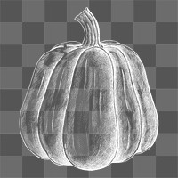 Png pumpkin illustration collage element, transparent background