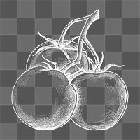 Png tomatoes illustration collage element, transparent background